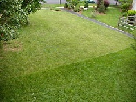 Lawn Care Treatments By Specialist Companies In Sheffield
